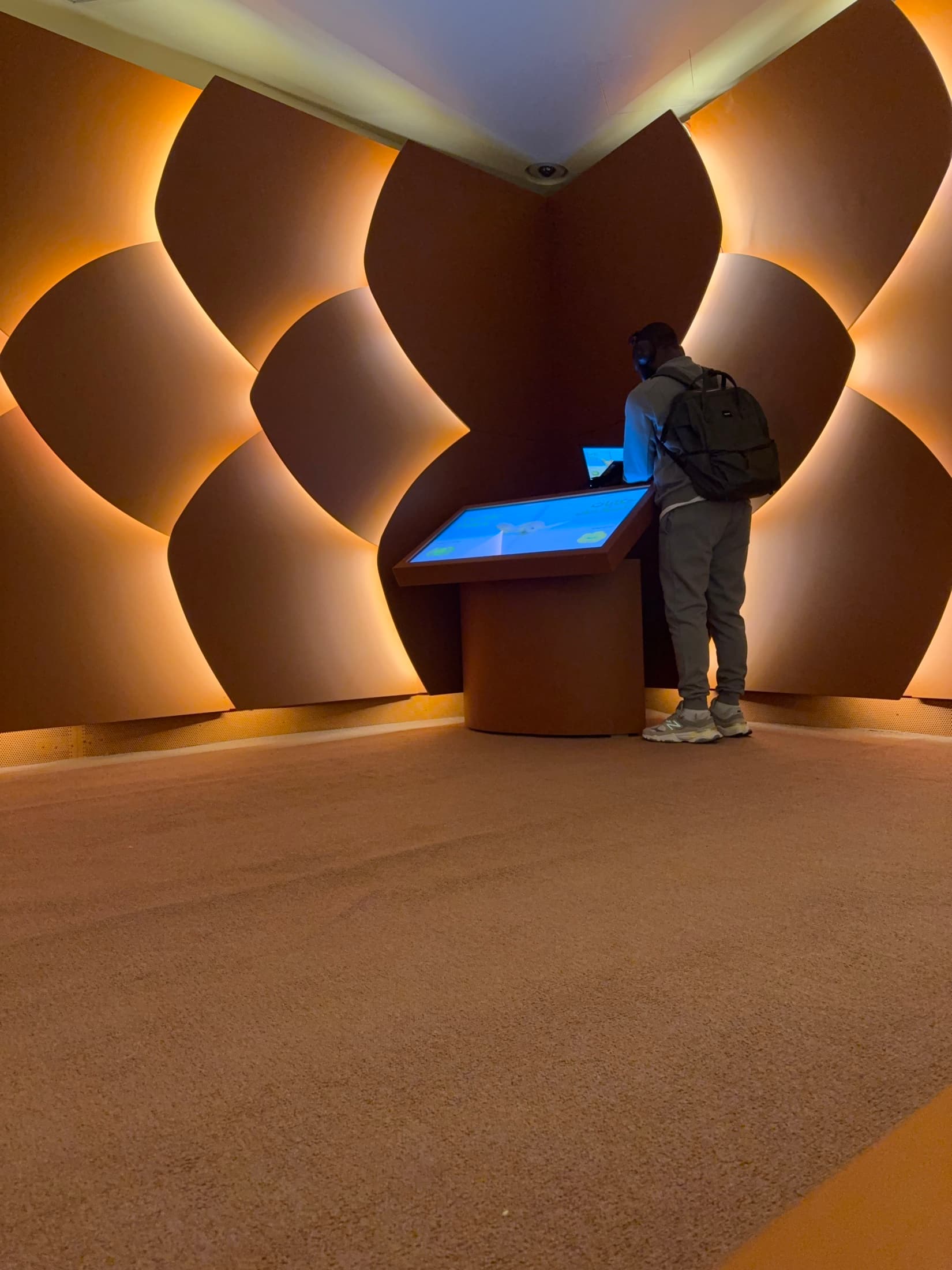 A professional exploring a digital learning experience